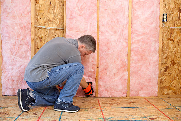 Best Eco-Friendly Insulation in Floral Park, NY